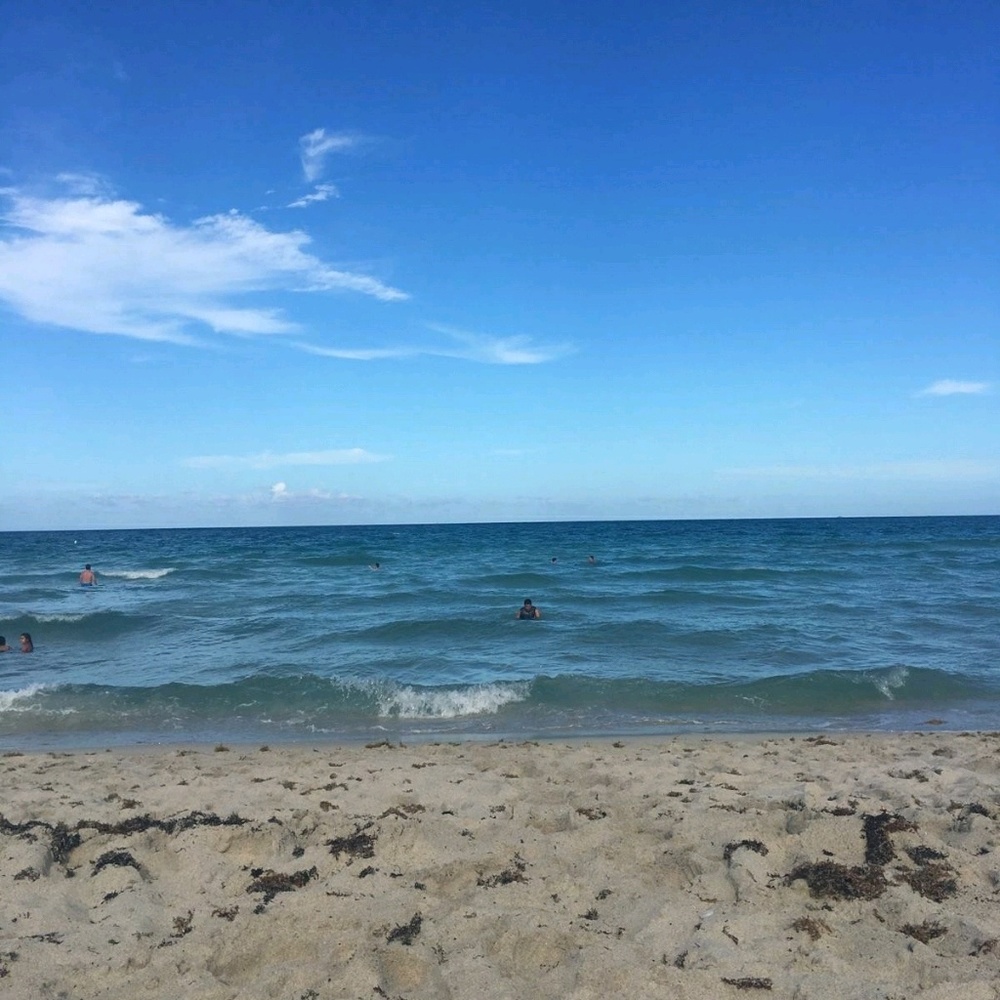 Meet your Posher, Reyna